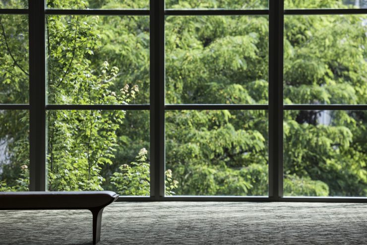 Business center lobby window and tree.