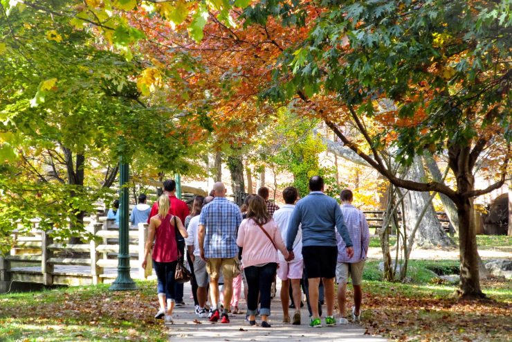 Group of people fitness walking for exercise on beautiful autumn day on sidewalk surrounded by trees