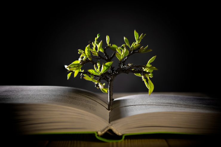 growing tree with green leaves from an open book